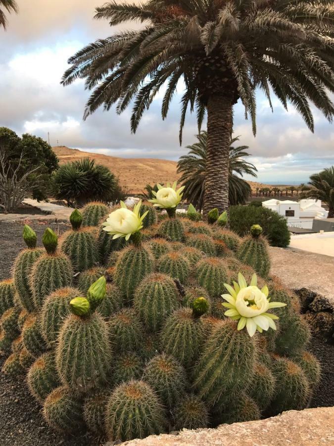 Casa Alegria Apartman Los Valles Kültér fotó